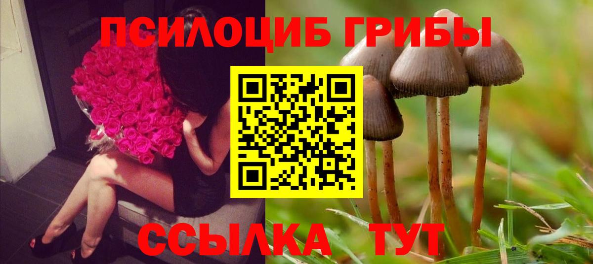 Галлюциногенные грибы ЛСД Черняховск